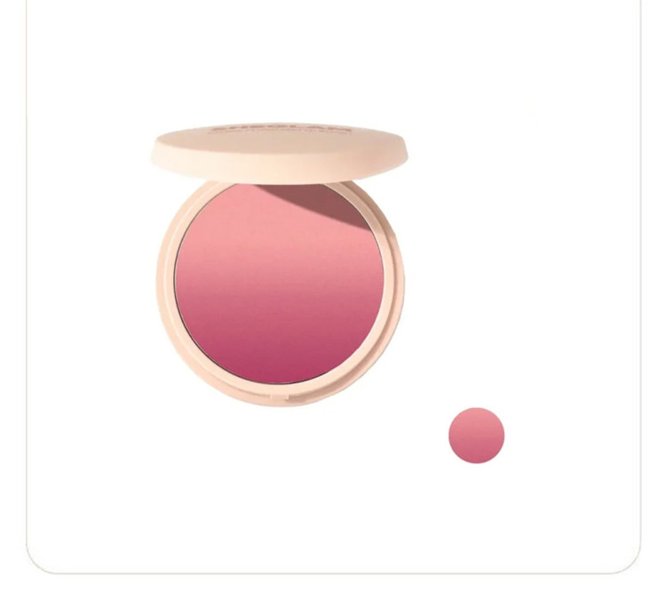 رژ گونه شیگلم مدل INSTA FLAME